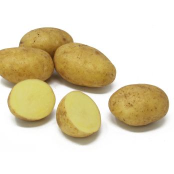 Frühkartoffel Lea festk. - 2kg-Tüte