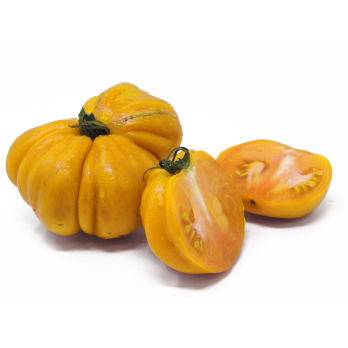 Tomaten Ochsenherz gelb