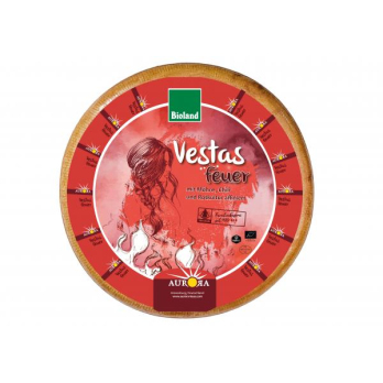 Vestas Feuer
