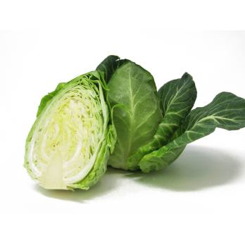 Spitzkohl Neue Ernte