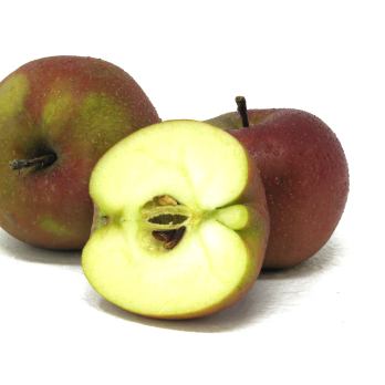 Äpfel - "Roter Boskoop" - 2,5kg-Kiste