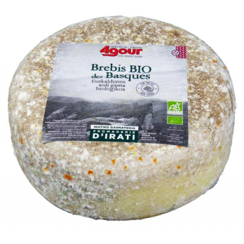 Brebis des Basques