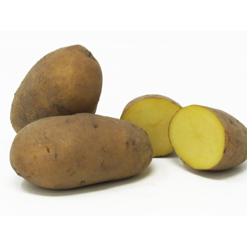 Nicola festk. - 10kg