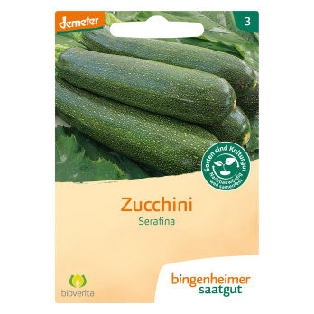 Zucchini Serafina Saatgut
