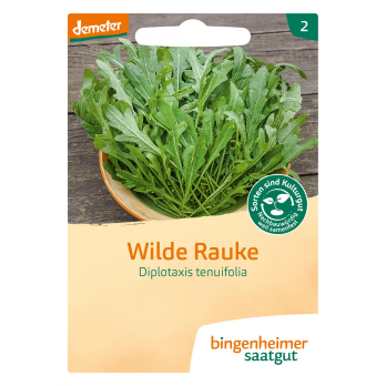 Rucola Wilde Rauke, Saatgut