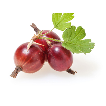 Stachelbeeren rot - 250g