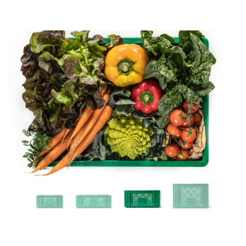 Gemüsekiste mittelgroß