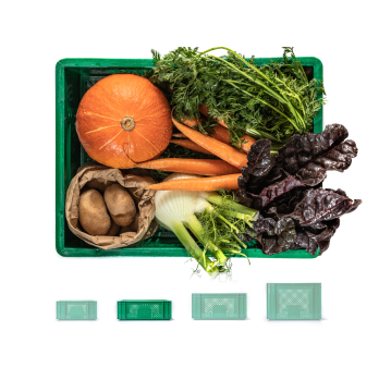 Kleinkindkiste ohne Obst groß