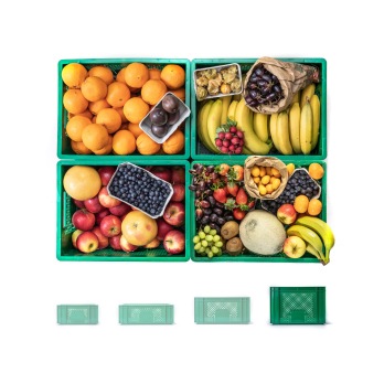 Firmenkiste Obst groß